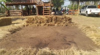threshing floor